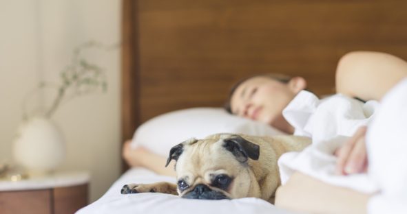 Defining quality sleep (and how to improve yours)